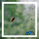 Kit 5 Telas Mosquiteiro Anti Inseto Fita Ajustável 2,00x1,50