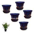 Kit 5 Vasos Redondo Pote 20 + 5 Prato 17cm Flor Rosa Deserto - - Preto
