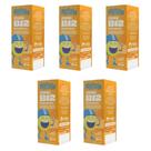 Kit 5 Vitamina B12 Kids gotas 5x20ml Sabor Frutas Vermelhas Malttinha Maltta