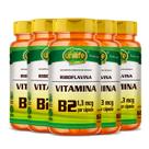 KIT 5 VITAMINA B2 RIBOFLAVINA - 60 Cápsulas 500mg UNILIFE