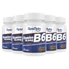 Kit 5 Vitamina B6 Apisnutri 60 cápsulas