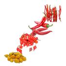 Kit 50 Sementes de pimenta 5 Variedades + Manual em PDF com dicas