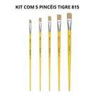 Kit 5un Pincel Chato Reto 815 Cerda Tigre Kit 5un Pincel Chato Reto 815 Cerda Tigre