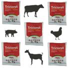 Kit 5un Triclorsil Antiparasitário Pó Triclorfon Sachê 20g