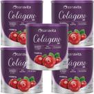 Kit 5X Colágeno Skin - 300g Cranberry - Sanavita Kit 5X Colágeno Skin - 300g Cranberry - Sanavita