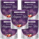 Kit 5X Colágeno Skin - 300g Morango Com Açaí - Sanavita
