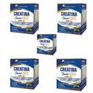 Kit 5x Creatina Sênior Fases + Associações Jabuticaba 5x20 sachês 200 gramas Flora Nativa Sabor:Jabuticaba