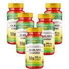 Kit 5x Magnésio Quelato 350mg 5x60 cápsulas Unilife Kit 5x Magnésio Quelato 350mg 5x60 cápsulas Unilife