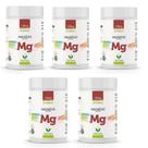 Kit 5x MG Magnésio Quelato 130mg 5x60 cápsulas - Vital Natus