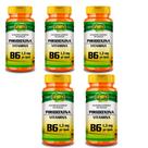 Kit 5x Piridoxina Vitamina B6 1,3mg 60 Capsulas Unilife