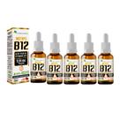 Kit 5x Vitamina B12 Metilcobalamina 9,94mcg 5x20ml Morango Flora Nativa