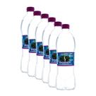 Kit 6 Água Mineral Igarapé com Gás 500ml