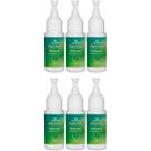 Kit 6 Aromatizador Bucal Óleo Essencial Hortela Dokmos Kit 6 Aromatizador Bucal Óleo Essencial Hortela Dokmos