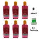 Kit 6 Aromatizador Limpeza Concentrado Desinfetante Essência Ambiente 140ml da Senalândia - Envio Já Kit 6 Aromatizador Limpeza Concentrado Desinfetante Essência Ambiente 140ml da Senalândia - Envio Já