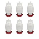 Kit 6 Bebedouro Automático Rosca 5 Litros Galinha e Aves