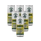 Kit 6 Bebida Proteica Moving Abacaxi Hortelã 310ml 20g Whey