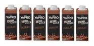 Kit 6 Bebidas Yo Pro Whey 15 Gramas Protein Chocolate 250ml
