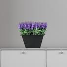 Kit 6 Buquês de Lavanda Artificial Permanente Decoração Elegante e Sofisticada Kit 6 Buquês de Lavanda Artificial Perman Kit 6 Buquês de Lavanda Artificial Permanente Decoração Elegante e Sofisticada Kit 6 Buquês de Lavanda Artificial Perman
