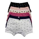 Kit 6 Calcinha Infantil Boxer Menina Shortinho