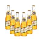 Kit 6 CERVEJA MILLER