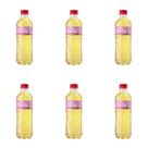 KIT 6 Chá Branco Leão Lichia Zero Pet 300ml