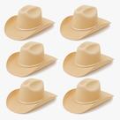 Kit 6 Chapéu Cowboy em E.V.A Kit 6 Chapéu Cowboy em E.V.A