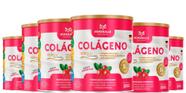 Kit 6 Colágeno Mineralle com Verisol + Ácido Hialurônico + Silicio + Extrato de Cranberry