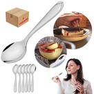Kit 6 Colheres De Sobremesa Aço Inox Resistente Multiuso