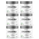 Kit 6 Creatina Monohidratada 300g Sem Sabor - Herbamed