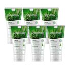 Kit 6 Creme de Depilação Corporal Perna Braço Axila e Virilha Aloe Vera Depilflax 100g
