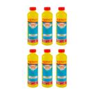 Kit 6 Elevador de pH Líquido Genco pH+ 1 Litro Piscinas