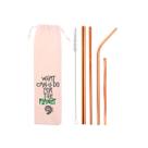 Kit 6 em 1: 4 canudos de inox (shake 10mm) + Escova + Ecobag What