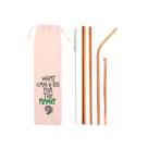 Kit 6 em 1: 4 canudos de inox (shake 12mm) + Escova + What