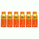 Kit 6 Engov After Tangerina 250ml cada