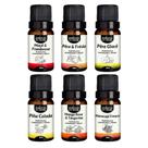 Kit 6 Essências Premium 10ml - Essências Frutadas