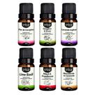 Kit 6 Essências Premium 10ml - Jardim Exótico