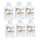 KIT 6 Fertilizante Enraizador Mineral Liquido Vitaplan 140ml - Bonsai, Estaquia, Alporquia e Mudas em Geral - Nutriplan