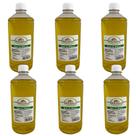 Kit 6 Frascos De 1 Lt Cada Óleo De Rícino Puro Para Cabelo