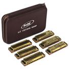 Kit 6 Gaita Hering Vintage Harp 10120 A C D E F G