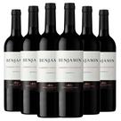 Kit 6 Garrafas Benjamin Cabernet Sauvignon