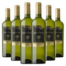 Kit 6 Garrafas Ravanal Sauvignon Blanc
