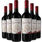 Kit 6 Garrafas Vinho Tinto Braccobosca Ombu Tannat 750ml Kit 6 Garrafas Vinho Tinto Braccobosca Ombu Tannat 750ml