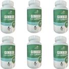 Kit 6 Ginkgo Biloba com Ginseng - Life Natural - 60 Cápsulas