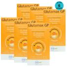 Kit 6 Glutamax GP Suplemento P/ Animais 80ml- Inovet