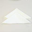 Kit 6 Guardanapos de Tecido Simples e Funcional