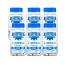 Kit 6 Lactase Chamel 4500 FCC 60 Cáp Suplemento Alimentar Kit 6 Lactase Chamel 4500 FCC 60 Cáp Suplemento Alimentar