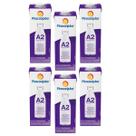 Kit 6 Leite A2A2 Semidesnatado Piracanjuba 1l