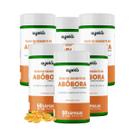 KIT 6 Óleo de Abóbora com Vitamina E Prensado a Frio 60 caps Ayeko