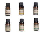 Kit 6 Oleo Essenciais 10Ml - Via Aroma