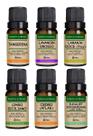 Kit 6 Óleos Essenciais 10ml - Puro E Natural